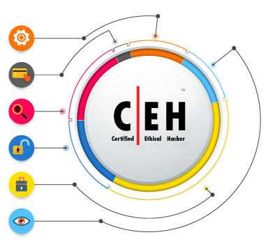 what-is-ceh-384×350